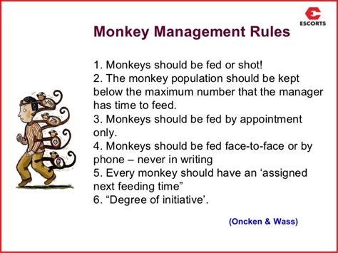 monkey management rules